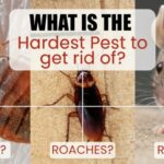 Hardest Pest to Get Rid Of