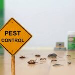 A yellow "Pest Control" sign in front of various insects and pests.