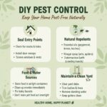 DIY Pest Control