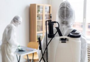 Top 5 Household Pests in Ohio and How to Identify Them