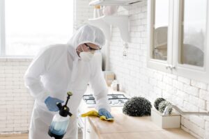 Seasonal Pest Control Checklist for Every Homeowner