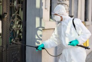 Pest-Proofing Your Home Before a Long Vacation