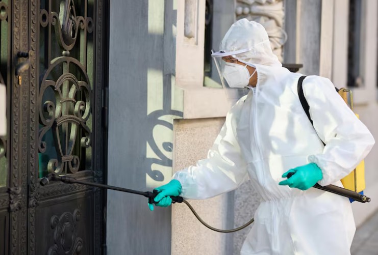 Pest Proofing