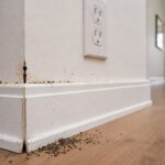 Hidden Pest Infestation